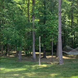 Meet your Posher, Cathy